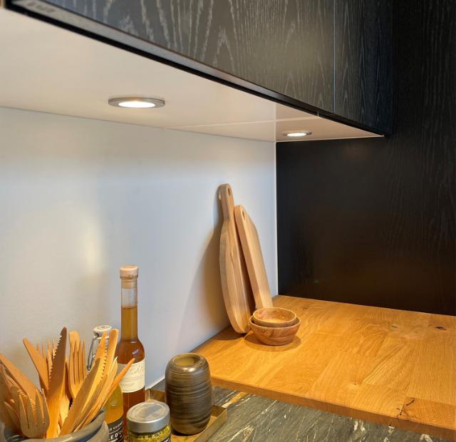ID-LED spotlight MultiWhite® 12V stål